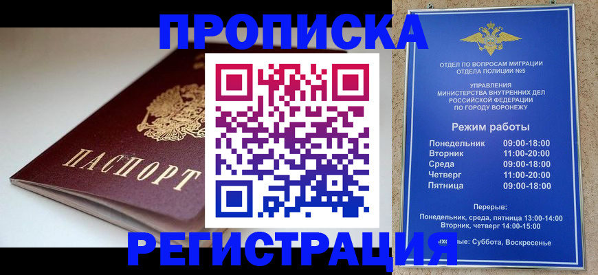 найти адрес прописки в Бородино